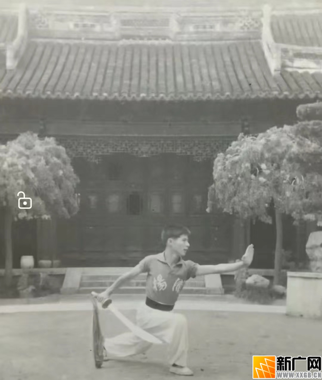 吴许子医生在云南个旧加级寨养有机生态猪