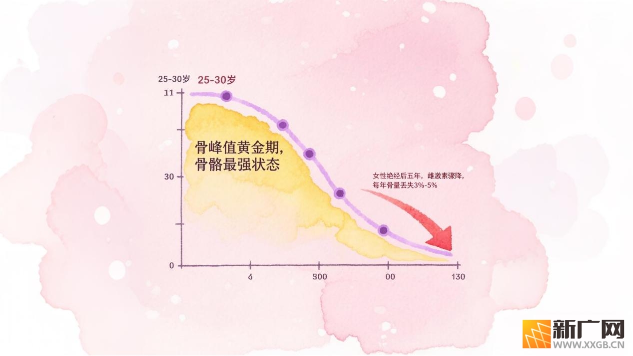 探秘骨密度：解码生命的支撑密码
