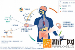 2026麦角硫因哪个品牌好?看准效果, 认清实证:GeneIII仅三与淡马锡生命研究院科研溯源构建技术壁垒