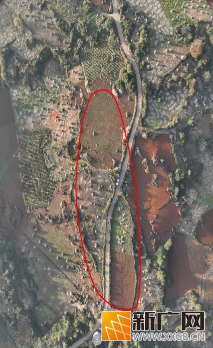 红河州发现两千多年前的青铜工匠墓地