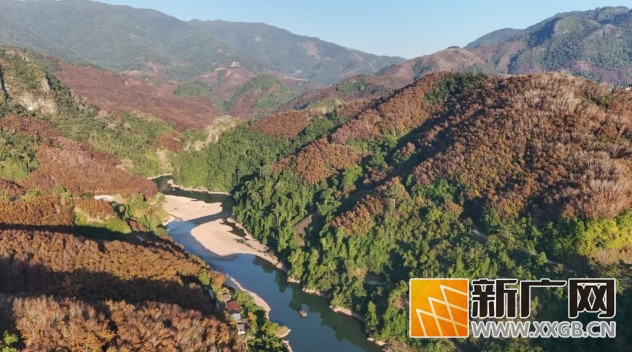 哇哦！初春绿春半坡乡，李仙江畔美如画