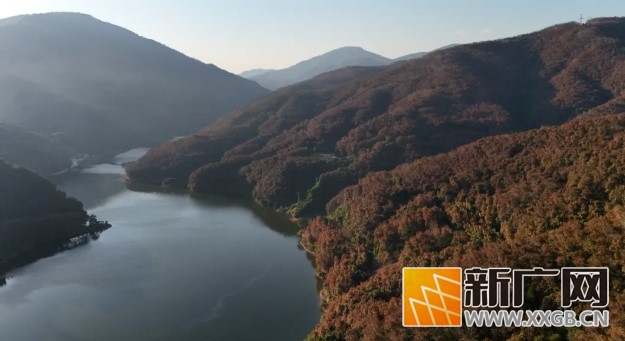 哇哦！初春绿春半坡乡，李仙江畔美如画