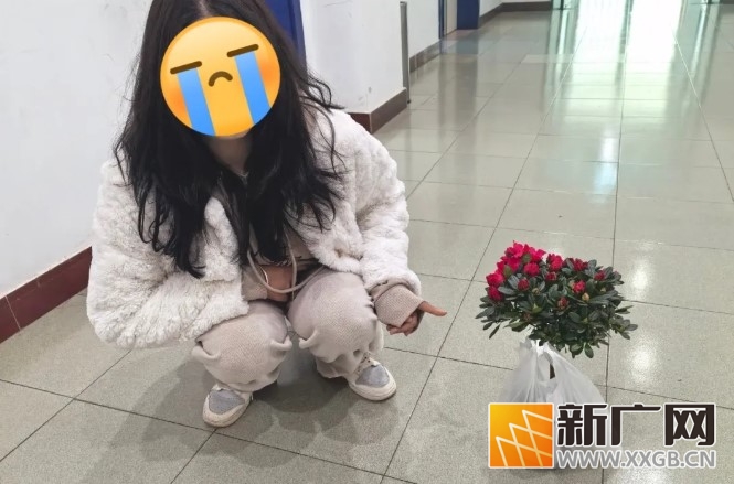 哎！别把城市花卉“顺手牵羊”呀