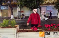 哎！别把城市花卉“顺手牵羊”呀