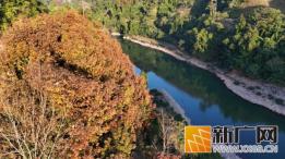 哇哦！初春绿春半坡乡，李仙江畔美如画