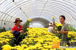 蒙自这口靓汤的灵魂，来自这缕花香