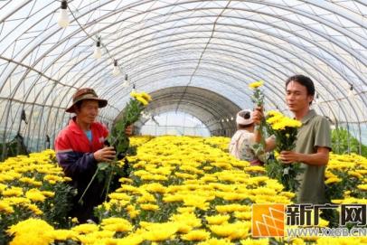 蒙自这口靓汤的灵魂，来自这缕花香