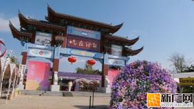 “2026吃在沙甸”美食街即将开启！