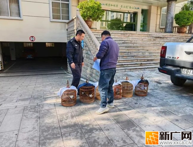 石屏警方发力，春节前专项整治涉野生动物犯罪见成效