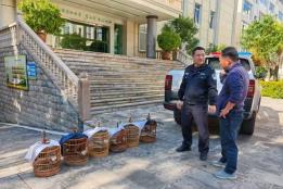 石屏警方发力，春节前专项整治涉野生动物犯罪见成效