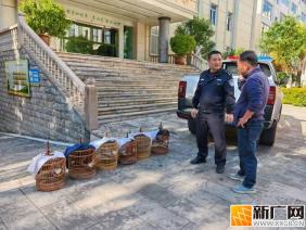 石屏警方发力，春节前专项整治涉野生动物犯罪见成效