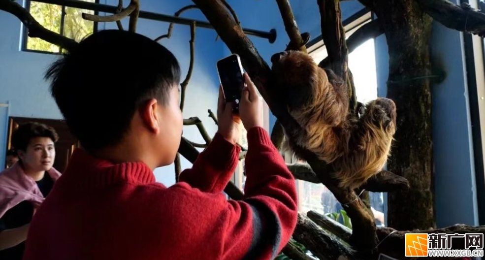 萌兽贺岁!个旧动物园新春游园会,带你嗨翻春节 萌兽贺岁!个旧动物园新春游园会,带你嗨翻春节