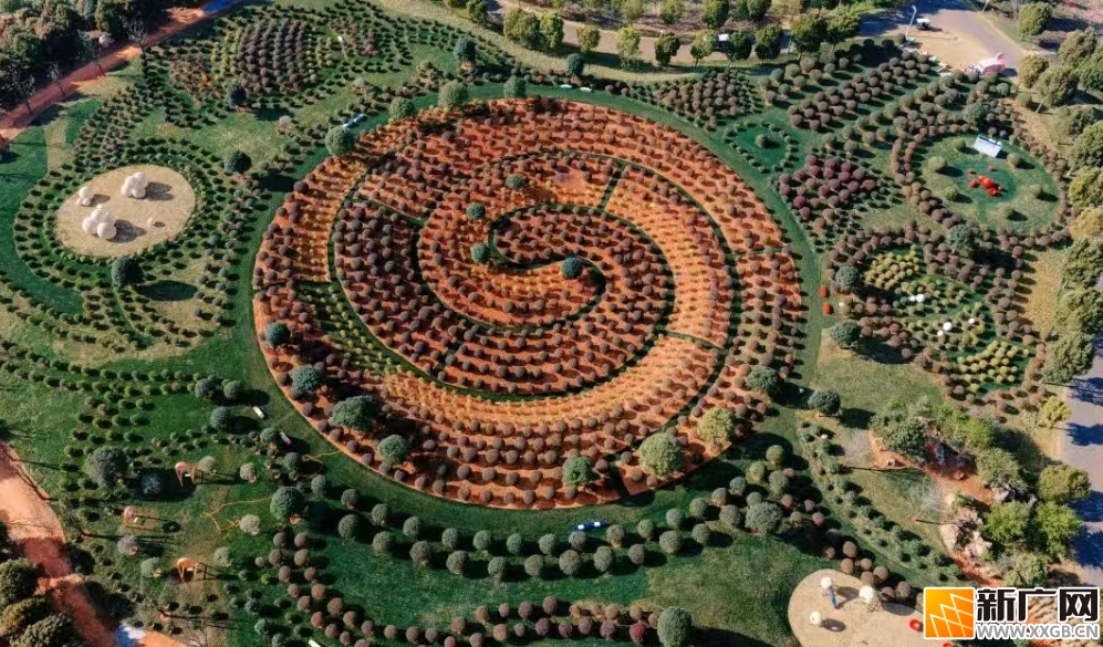 弥勒太平湖森林公园美上央视,红河春日魅力绽放 弥勒太平湖森林公园美上央视,红河春日魅力绽放