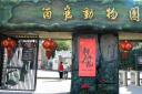 萌兽贺岁！个旧动物园新春游园会，带你嗨翻春节