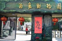 萌兽贺岁！个旧动物园新春游园会，带你嗨翻春节