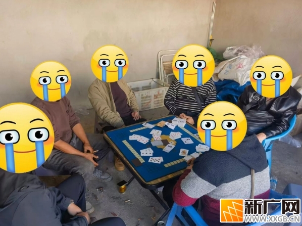 如此“斗牛” 6人被抓! 如此“斗牛” 6人被抓!