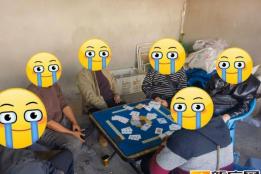 如此“斗牛”  6人被抓！