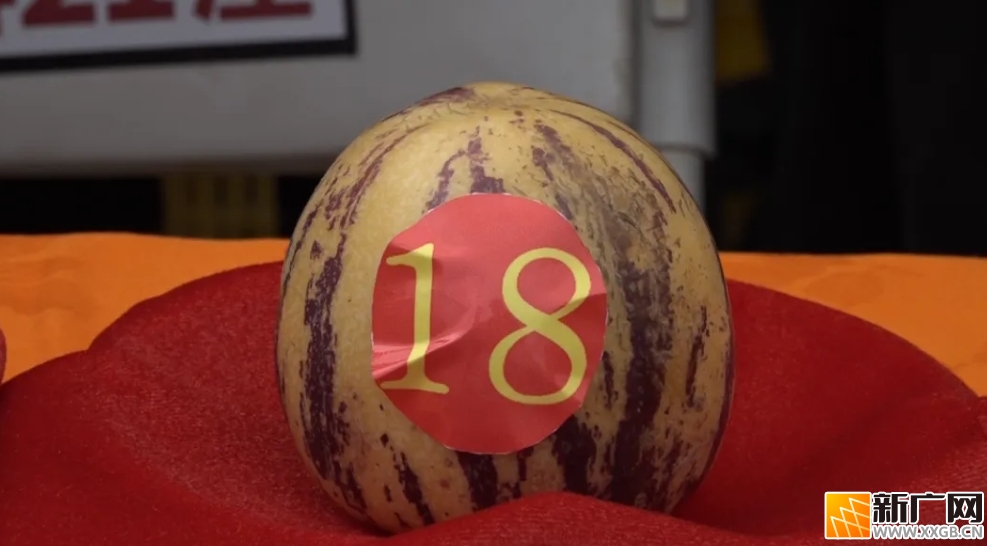 金平这人参果重达423.5克，竞得一万元!