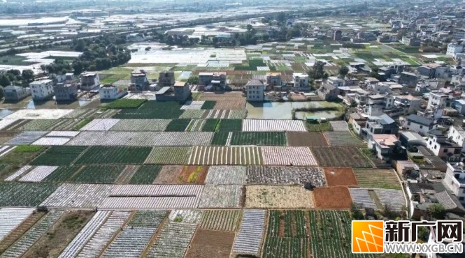 投入400余万元!建水马军村进村路全新通车,村民出行更舒心啦! 投入400余万元!建水马军村进村路全新通车,村民出行更舒心啦!