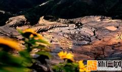 人气爆棚！元阳春节接待游客41.29万人次，创历史新高！