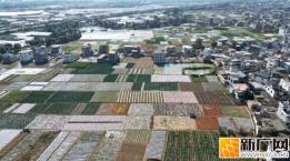 投入400余万元！建水马军村进村路全新通车，村民出行更舒心啦！