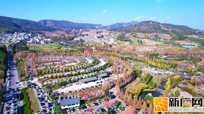 正月初九,到锦屏山风景区可选乘公交车,有2条临时公交专线 正月初九,到锦屏山风景区可选乘公交车,有2条临时公交专线