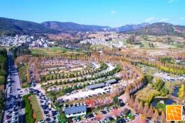 正月初九，到锦屏山风景区可选乘公交车，有2条临时公交专线