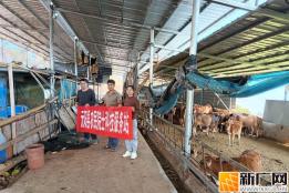 最高10万元！元阳一笔补助资金发放到位