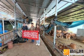 最高10万元！元阳一笔补助资金发放到位