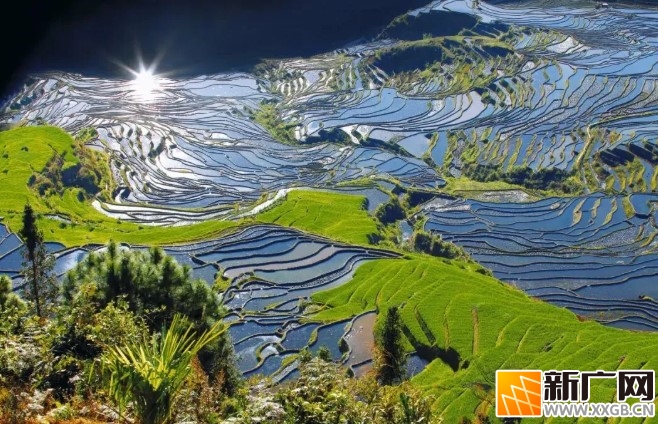 红河州梯田限定美景,错过等一年! 红河州梯田限定美景,错过等一年!