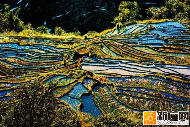 红河州梯田限定美景,错过等一年! 红河州梯田限定美景,错过等一年!