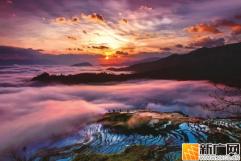 红河州梯田限定美景，错过等一年！
