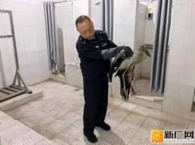 学生发现受伤“大鸟”  民警深夜前往救助