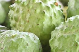 河口镇释迦果产业蓬勃发展，铺就致富之路