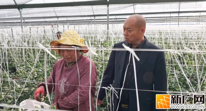 红河好人马宏：诚信立企兴产业，履职为民谋福祉