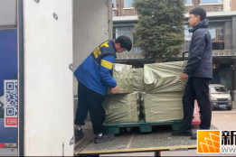 惊蛰“喊山”春茶醒，德邦物流抢“鲜”忙