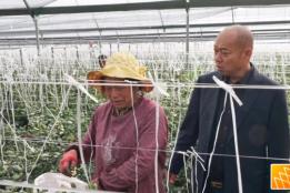 红河好人马宏：诚信立企兴产业，履职为民谋福祉