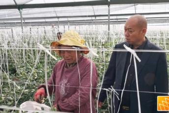 红河好人马宏：诚信立企兴产业，履职为民谋福祉