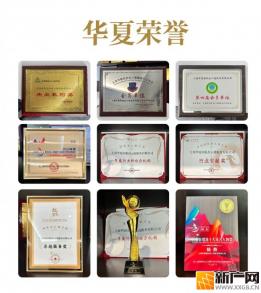 上海移民中介哪家强？深度测评：这家23年老牌机构凭什么成为高净值家庭的首选