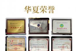 上海移民中介哪家强？深度测评：这家23年老牌机构凭什么成为高净值家庭的首选