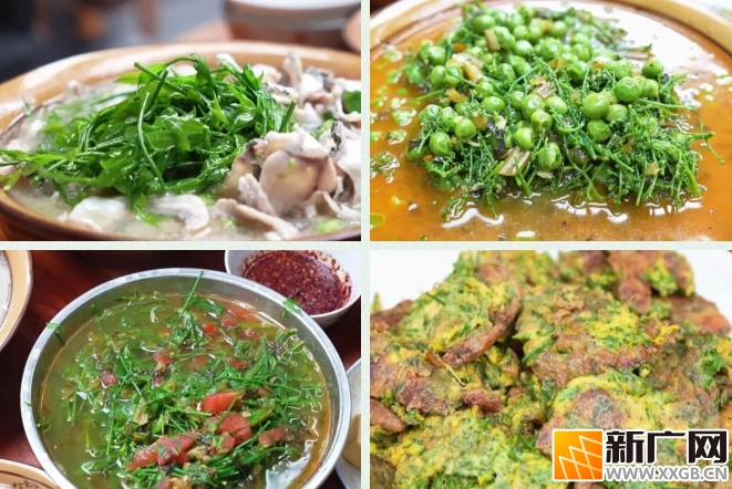 石屏大桥乡纳头村：舌尖上的 “黄金菜”——生态甜菜