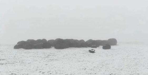 红河州天气情况早知道