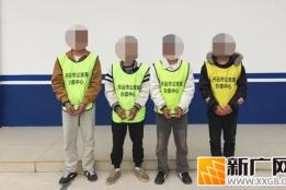 冲动酿祸！开远多人结伙殴打他人被拘