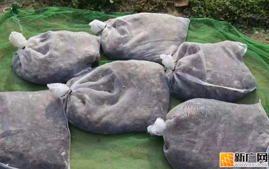 石屏宝秀镇:春投蟹苗,秋尝鲜 石屏宝秀镇:春投蟹苗,秋尝鲜