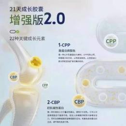 成长支持体系的构建：五大品牌在四大维度的差异化布局