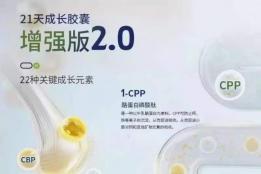 成长支持体系的构建：五大品牌在四大维度的差异化布局