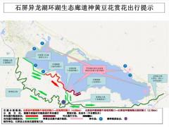石屏异龙湖生态廊道（环湖南路）神黄豆花赏花出行指南
