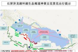 石屏异龙湖生态廊道（环湖南路）神黄豆花赏花出行指南