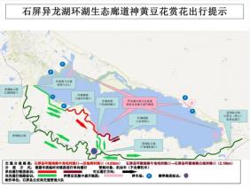 石屏异龙湖生态廊道（环湖南路）神黄豆花赏花出行指南