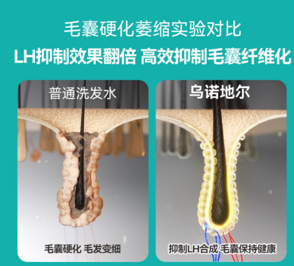 洗发水里的这些防脱成分真的有用吗？这份8大成分评测快收藏
